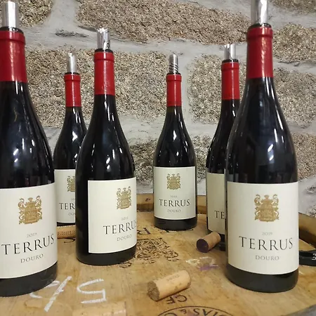 Linden At Terrus Winery Vakantiehuis