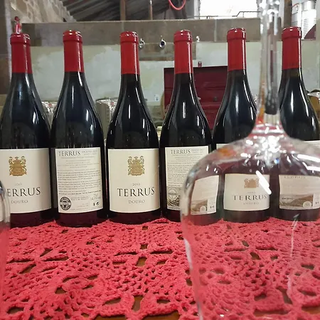 Linden At Terrus Winery