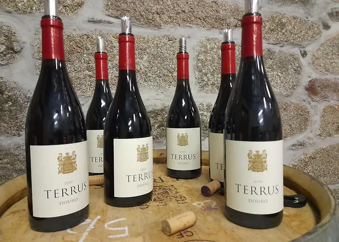 Linden At Terrus Winery Hébergement de vacances