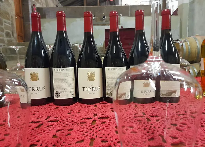 Linden At Terrus Winery